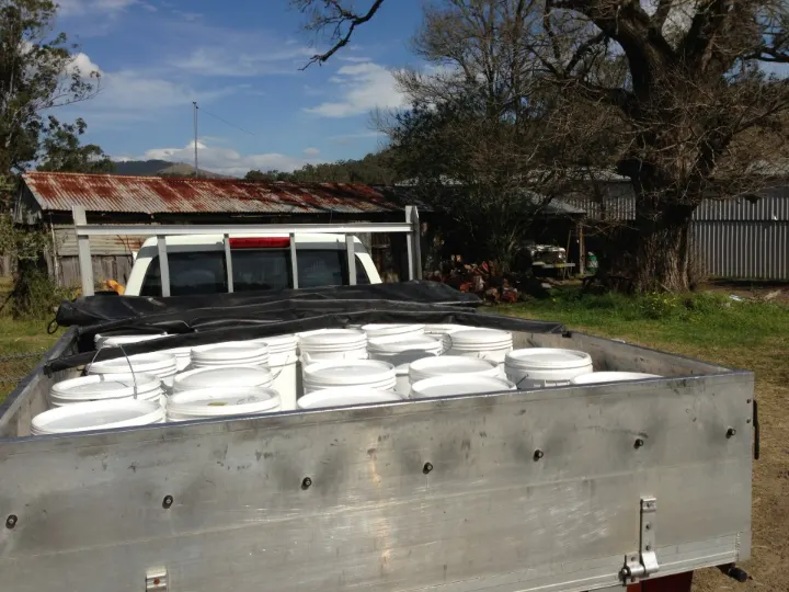 The back of the ute loaded with buckets of collected food waste