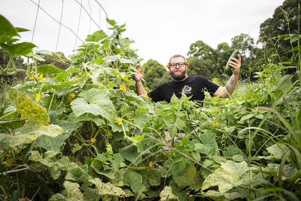 urban agriculture