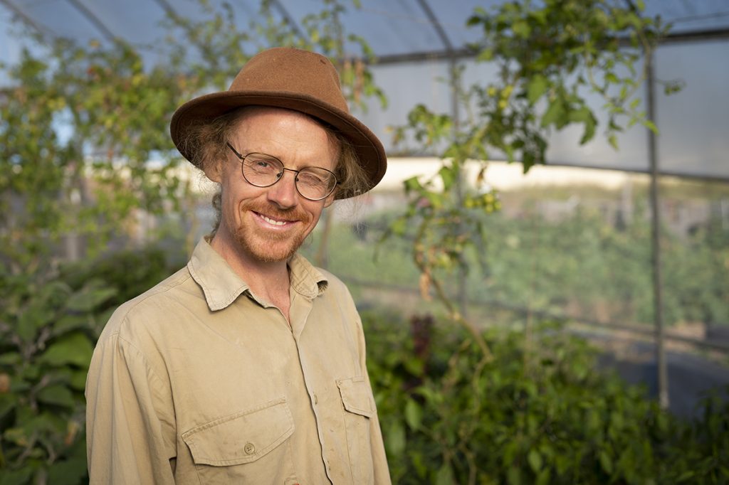 volunteer on an urban farm